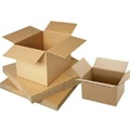 In thùng carton